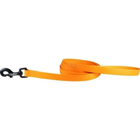UPC: 0024764263594 | Leather Brothers 19148-TG 0.75 in. x 6 ft. Carnival Biothane Dog Lead Tangerine