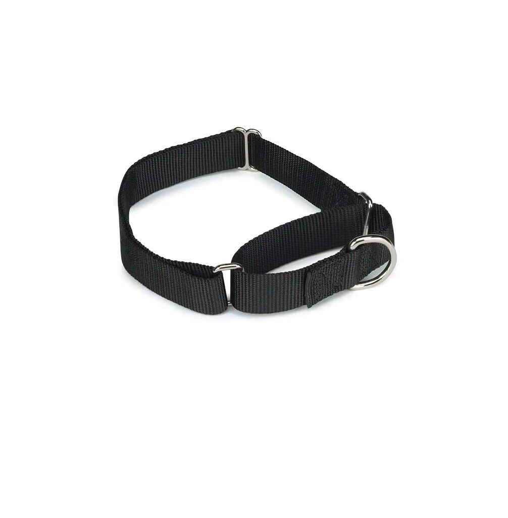 Bulk Wholesale Nylon Martingale Collars Shelter Rescue Vet Makes Great Donations (25 Collars 18 to 26 Inch)
