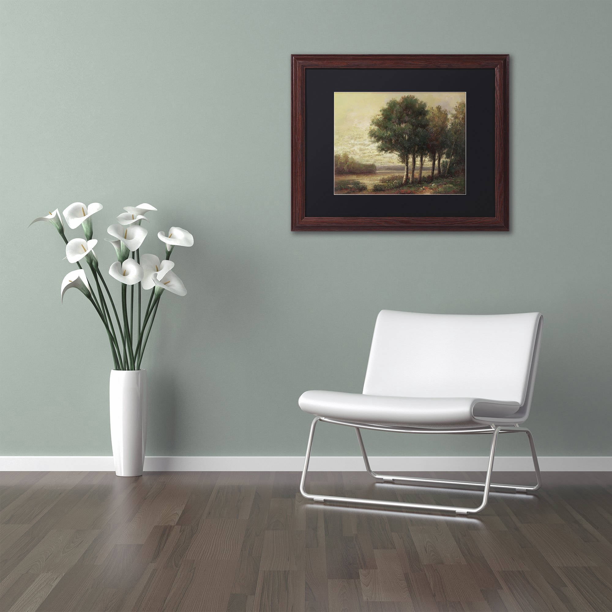 Trademark Fine Art "Tranquility" Canvas Art by Daniel Moises, Black Matte, Wood Frame