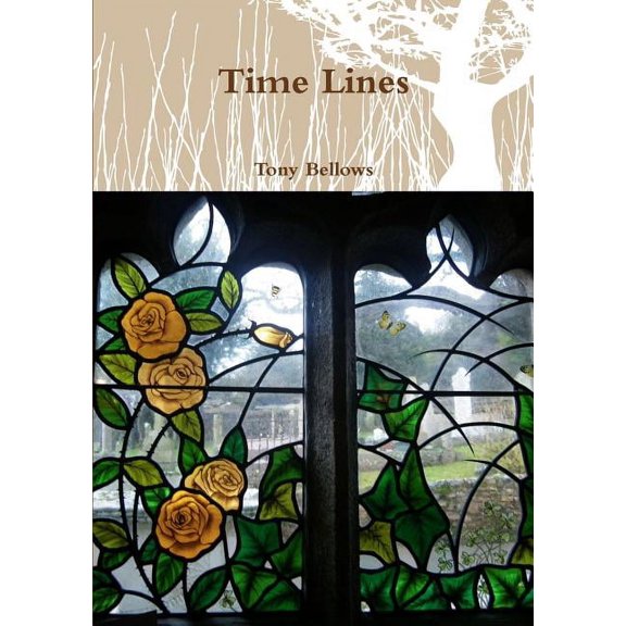 Time Lines, (Paperback)