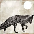 thumbnail image 2 of Sophie 6 12x12 White Modern Wood Framed Museum Art Print Titled - Going Wild Fox, 2 of 4