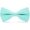 Aqua, variant on Classic Bow Tie