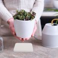 thumbnail image 4 of Raindrops 5pcs Diatomite Coasters for Plant Enthusiasts Water Absorbent Quick Drying, 4 of 8