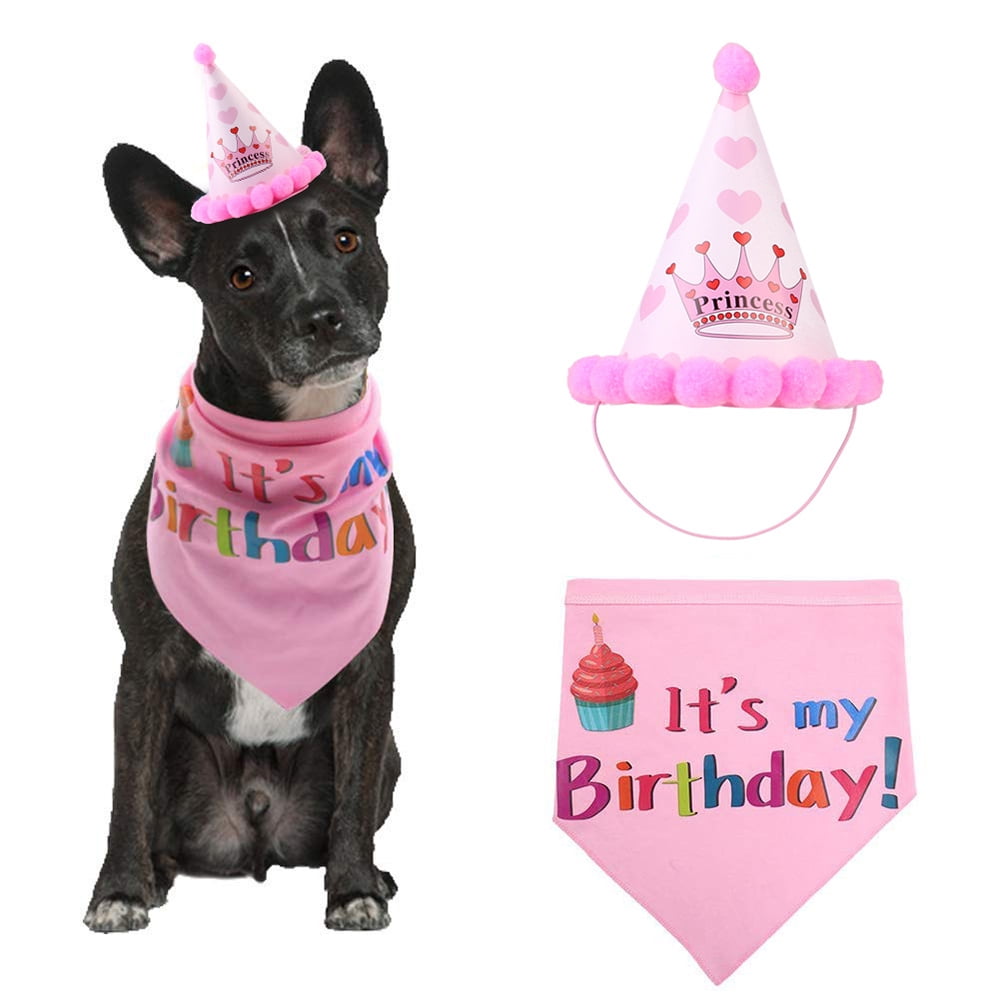 dog birthday hat walmart