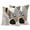 Brown, variant on 2 Pack Outdoor Waterproof Throw Pillow Covers,Boho Leaf Arch Sun Decorative Square Pillow Case Patio Pillowcases for Chair Couch Sofa 16x16in