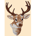 thumbnail image 4 of Mens Buck Deer Wildlife 100% Cotton Ringer Tee Shirt, 3XL Navy/Gold, 4 of 5