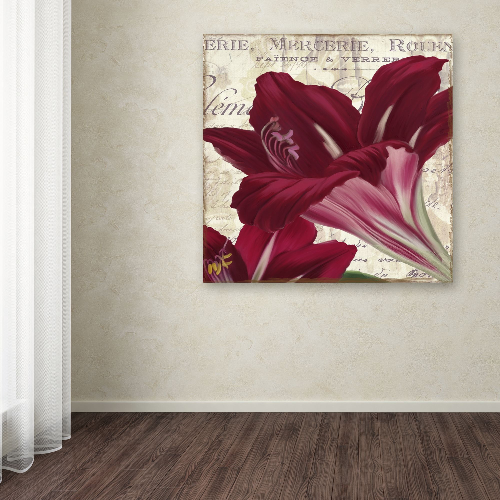Trademark Fine Art "Amaryllis " Canvas Art by Color Bakery