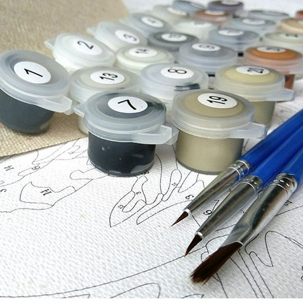 drppepioner Bricolage Peinture Par Numéros Kit Coloriage Par Numéros Image  Par Numéros Décors À La Maison 