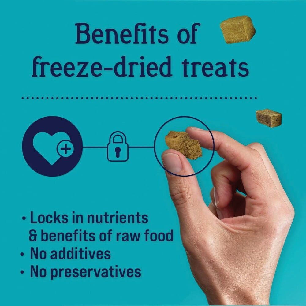 Stewart 16 Oz. Freeze-Dried Chicken Liver Dog Treat 405319