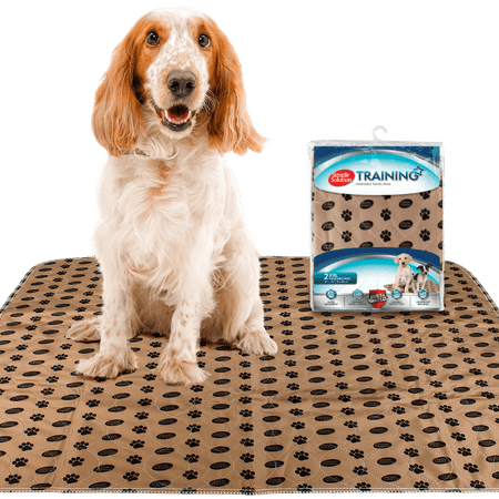 Simple Solution Large Washable Puppy Pad | Reusable Dog Pee Pad | Absorbent and Odor Controlling | 30x32 Inches, 2 (Best Pee Pads For Training Puppies)