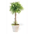 thumbnail image 1 of Boston International JS19100 White Flower Ivy Topiary, 1 of 1