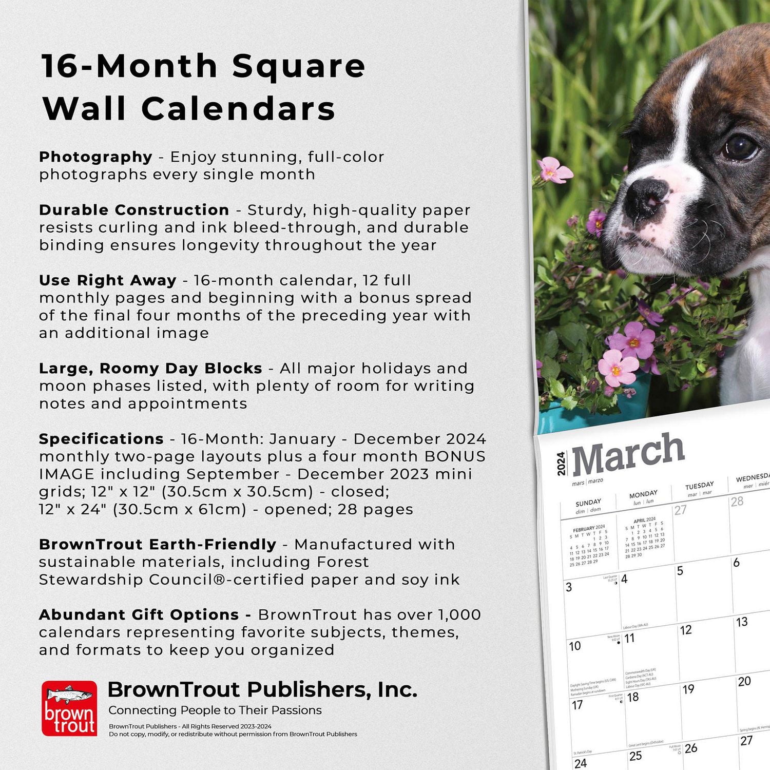 BrownTrout Boxer Puppies 2024 12x24 Inch Square Wall Calendar, 9781975461935