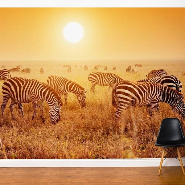 120 in. Back Stripe Wall Mural