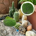thumbnail image 3 of Artificial Moss Decor Fake Lawn Artificial Turf Garden Moss Ornament Decorative Faux Moss Turf, 3 of 8