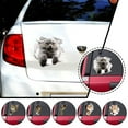 thumbnail image 3 of Car Stickers 3D Stereoscopic Visual Stickers Mouse Creative Stickers Sticker Hole Bumper I8L5, 3 of 6