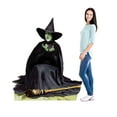 thumbnail image 2 of Wicked Witch Melting-Wizard Of Oz Lifesized Standup, 2 of 3