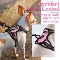 thumbnail image 4 of rabbitgoo No-Pull Pet Harness with 2 Leash Clips  Adjustable Soft Padded  Reflective No-Choke Pet Oxford Vest with Easy Control Handle for Large Dogs  Pink  L, 4 of 9