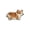 B, variant on Cute Dog Bath Mat – Soft Absorbent Microfiber Bathroom Rug for Dog Lovers, Non Slip Rubber Backing, Machine Washable, Funny Dog Shaped Mat for Bathtub Exit-16"X24", A