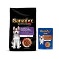 thumbnail image 1 of Ganador Premium Cachorro Med 20kg + Sobres Estofado Pato 22 Pzas, 1 of 4