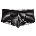 thumbnail image 2 of New See Through Stripe Mesh Briefs U Convex Men Briefs Ropa interior transparente Zulema Ropa interior, 2 of 7