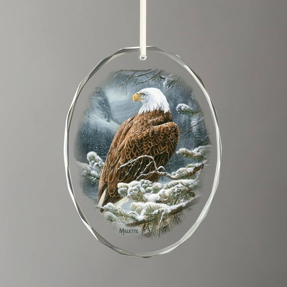 Spirit of the Wild - Bald Eagle