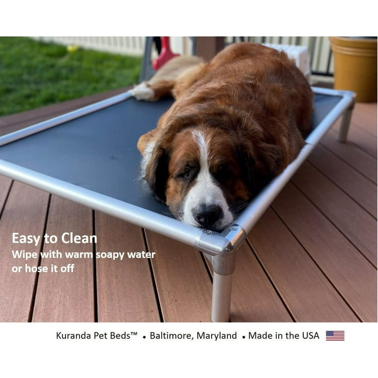 Kuranda dog bed sale 2025