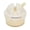 Cream, variant on M Buder Multi-Functional Cutter Sharpener Quick Sharpening Stone Miniature Suction Cup Scissors Sharpener Tool for Kitchen Knives Tungsten Steel ABS Cream 2.76 inches / 7.0 cm Long