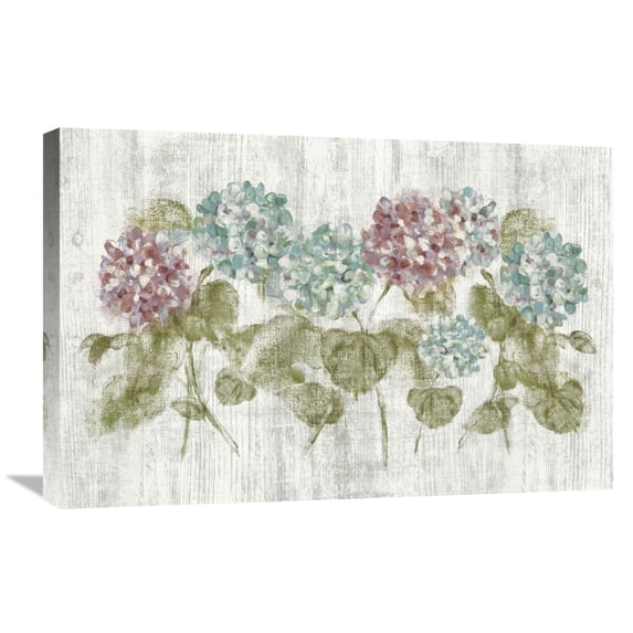 Global Gallery Cheri Blum 'Vibrant Row of Hydrangea on Wood' Canvas Wall Art