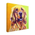 thumbnail image 2 of Trademark Fine Art 'Jasper Retriever' Canvas Art by DawgArt, 2 of 3