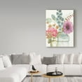 thumbnail image 3 of Trademark Fine Art 'Rainbow Seeds Flowers VIII' Canvas Art by Lisa Audit, 3 of 3