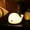 Dolphin, variant on KOMI Kids Night Light Cute Panda,Silicone Nursery Lamp for Baby and Toddler,Animal Night Light for Boys and Girls,Squishy Night Light for Bedroom,Cute Night Light for Kids Room (Panda)