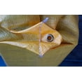 thumbnail image 5 of 450 X Field Point Bag Target 24 x 24 x 12, 450 FPS for Compound and Crossbows, 5 of 6