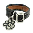thumbnail image 1 of Collar para Perro GS PETS básico con Placa MODELO 9 Talla XXS multicolor XS, 1 of 6