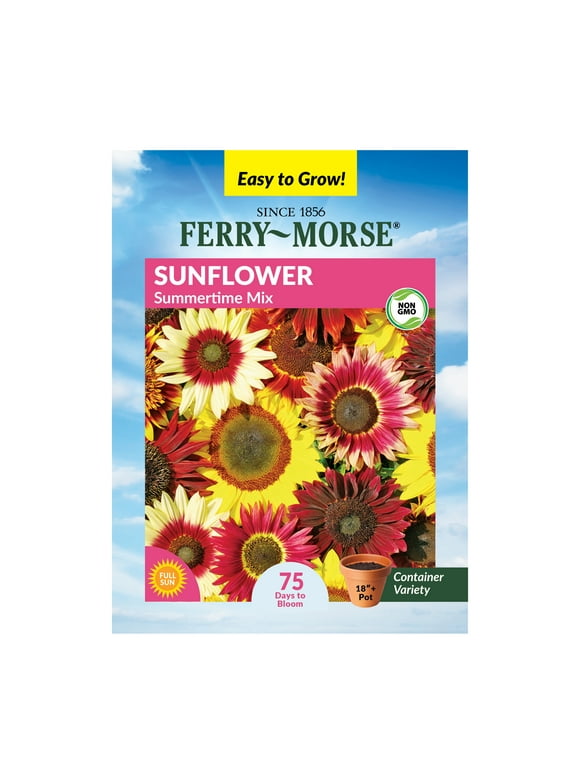 Sunflower Flower Seeds in Seed Gardening