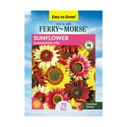 Ferry-Morse 90MG Sunflower Summertime Mix Annual Flower Seeds (1 Pack)- Seed Gardening, Full Sunlight
