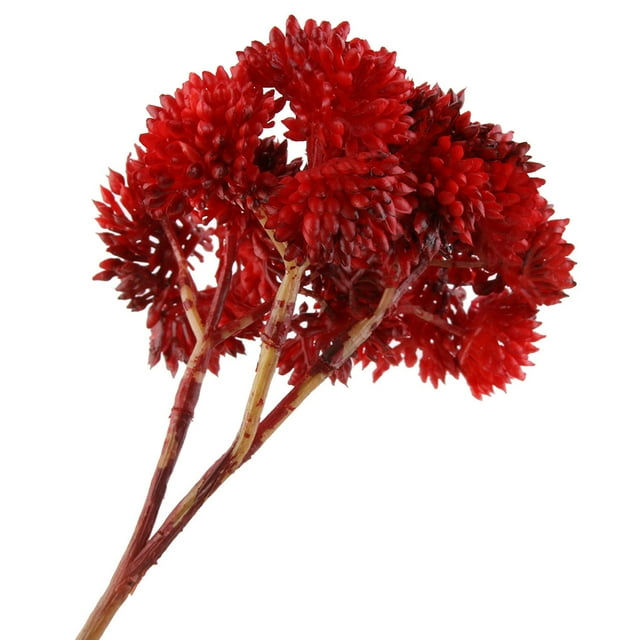 Artificial Rice Seed Fruit Flower Rustic seed flower Fake Flower Wedding Party Floral Decor Home Ornament, Red