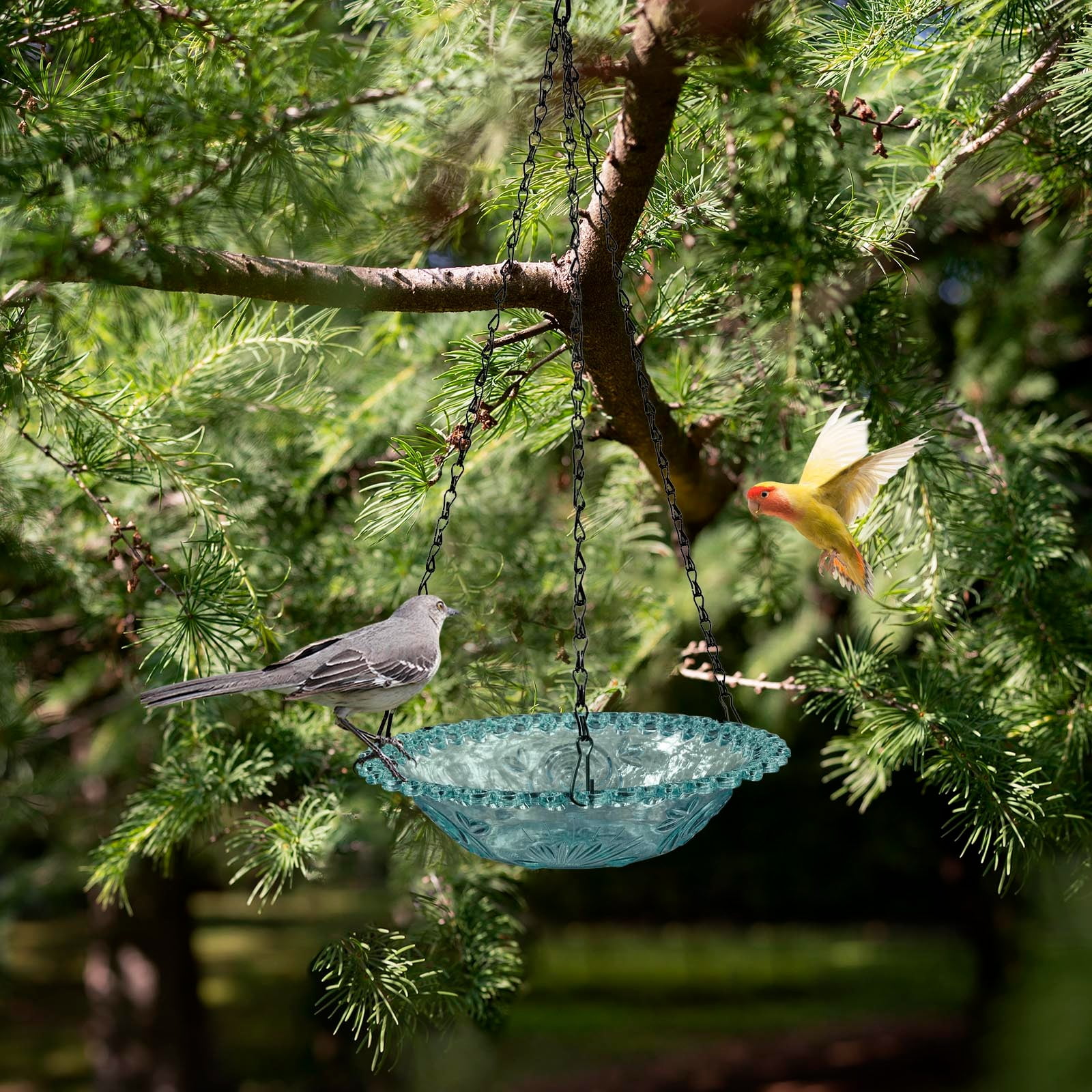 JilgTeok 4 Packs Bird Feeder Bird Water Bowl Bird Baths for Feeding Balcony Garden Yard Decor Outdoor Hanging Feeder