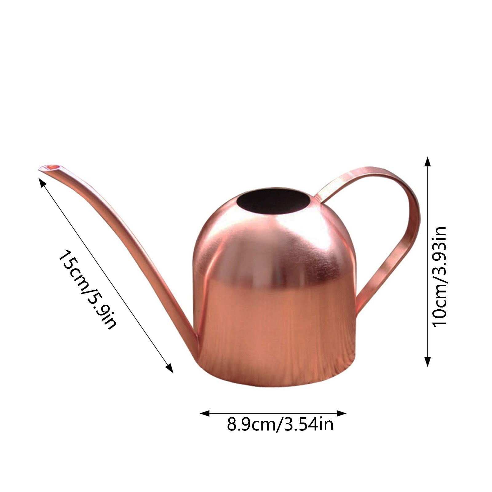 Mini Stainless Steel Watering Can - Long Spout Indoor Watering Pot for Succulents, Flowers and Desk Plants, Stylish Gardening Decoration for Home and Office