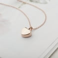 thumbnail image 2 of Anavia Mini Heart Urn Pendant Necklace, Pet Cremation Jewelry, Memorial Jewelry Urn For Dog/Cat Ashes Pet Loss Gift - [Rose Gold Necklace], 2 of 7