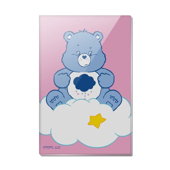 Care Bears Grumpy Bear Rectangle Acrylic Fridge Refrigerator Magnet