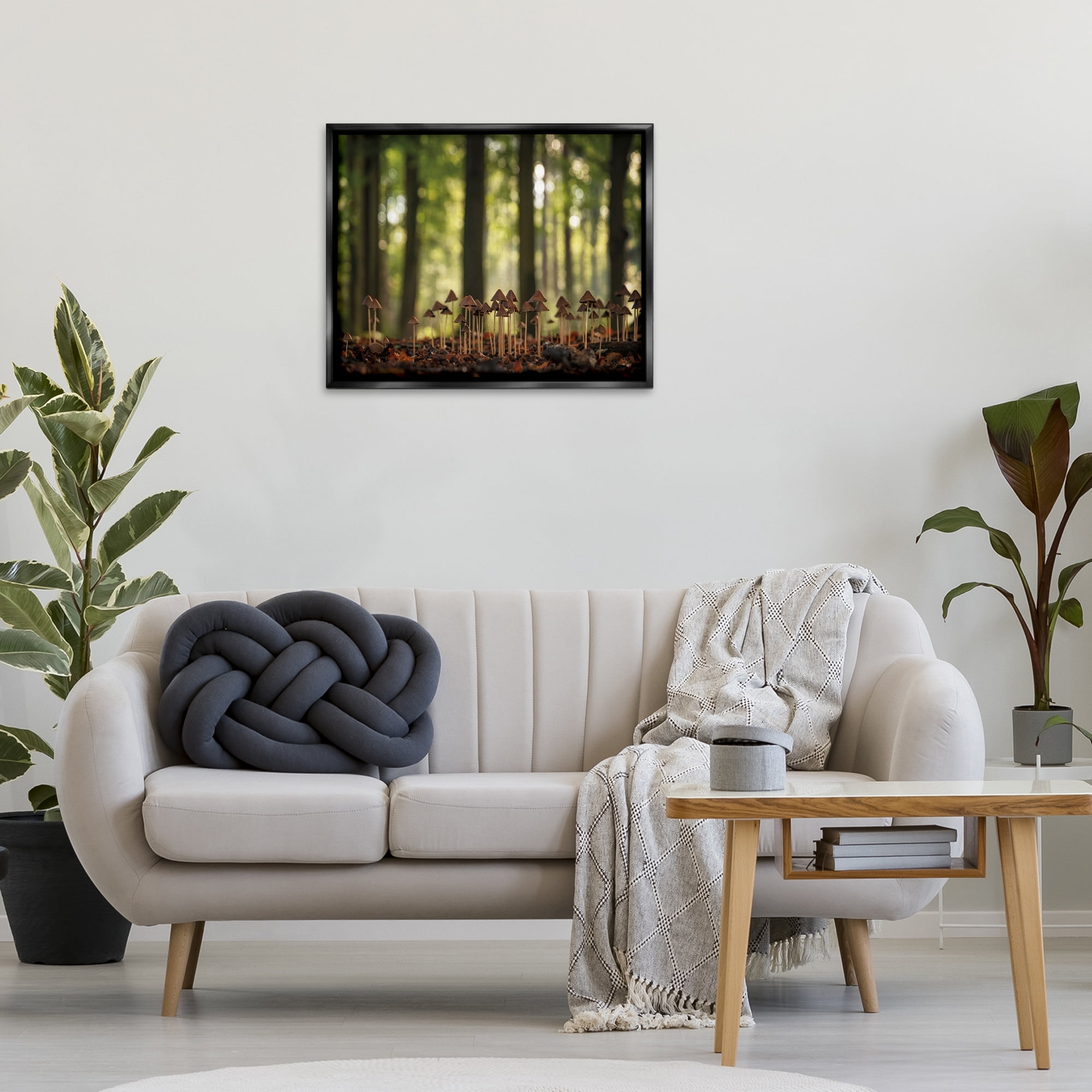 Stupell Industries Mushroom Sprouts in Forest Botanical & Floral Photography Black Floater Framed Art Print Wall Art, 31 x 25