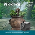 thumbnail image 4 of Bomba de agua Little Giant PES-80-PW 115V 77 GPH negra, 4 of 7