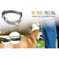 thumbnail image 2 of Mighty Paw Martingale Training Dog Collar, Limited Cinch Chain, 2 of 9