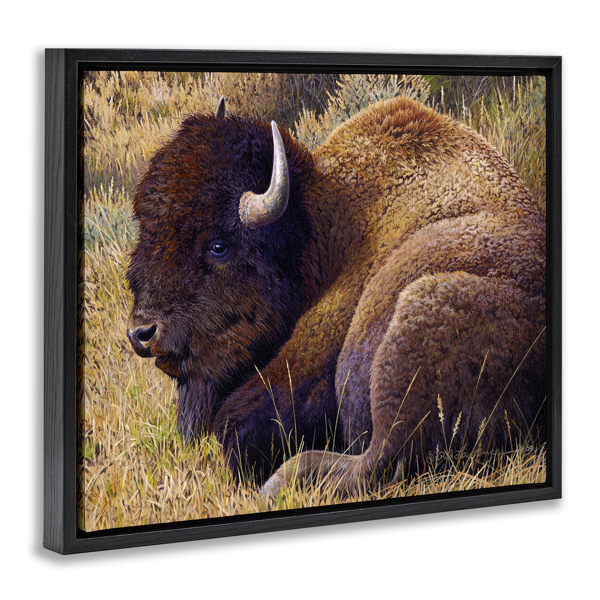 Stupell Industries Relaxing Young Bison Animals Painting Black Floater Framed Canvas Art Print Wall Art, 31 x 25