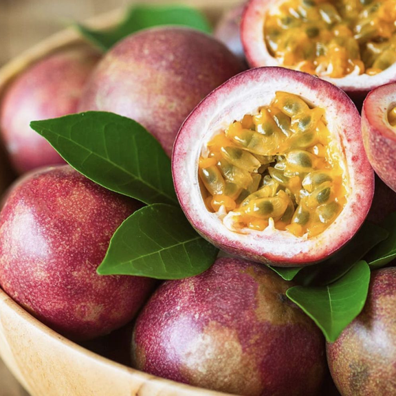 Purple Passionfruit Plant Live, Passionfruit Vine Live Plant, 4-6 inch, Outdoor Landscape