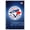 White Framed Version, variant on MLB Toronto Blue Jays - Logo 16 Wall Poster, 22.375" x 34", Framed