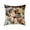 A, variant on Fasiaou Cat Pattern Throw Pillow Covers Decorative Outdoor Soft Pillowcases Home Decor Living Room Cushion Case for Bed Couch Car 18x18 Inch,B