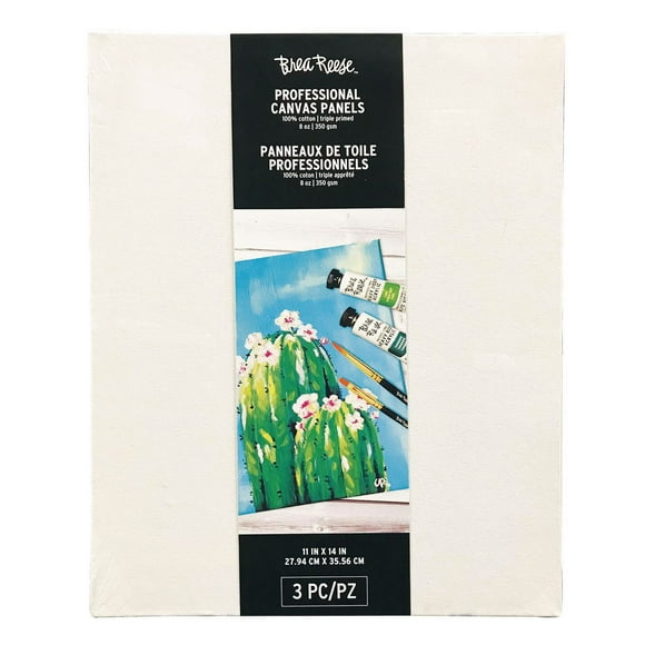 PANNEAUX EN TOILE DE BREA REESE 11X14 3PC