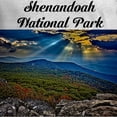 thumbnail image 3 of CafePress - Shenandoah National Park Long Sleeve T Shirt - Unisex Cotton Long Sleeve T-Shirt, 3 of 4