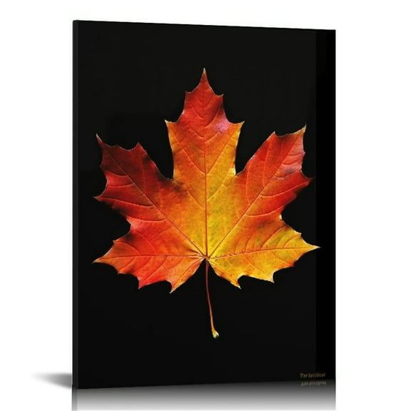 JRXY Autumn Fall Maple Leaf Canvas Wall Art Prints for Home Office Decor Thanksgiving Gift 12x16 in